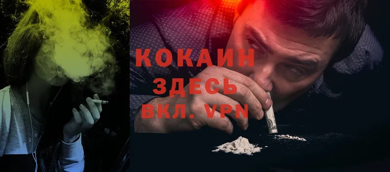 где найти   Лиски  Cocaine Колумбийский 