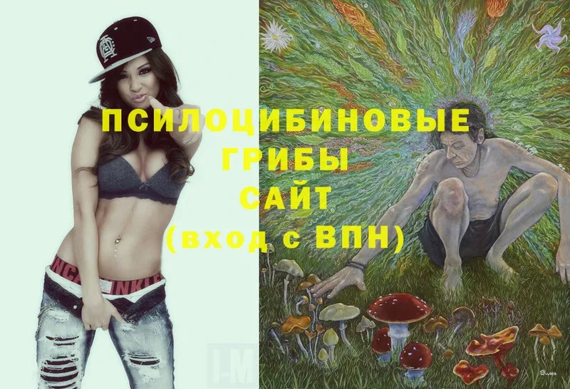 Галлюциногенные грибы Magic Shrooms  где можно купить наркотик  Лиски 